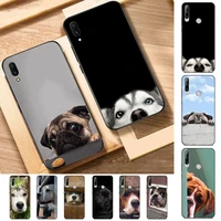 vintage cute peeking dog phone case for huawei y 6 9 7 5 8s prime 2019 2018 enjoy 7 plus
