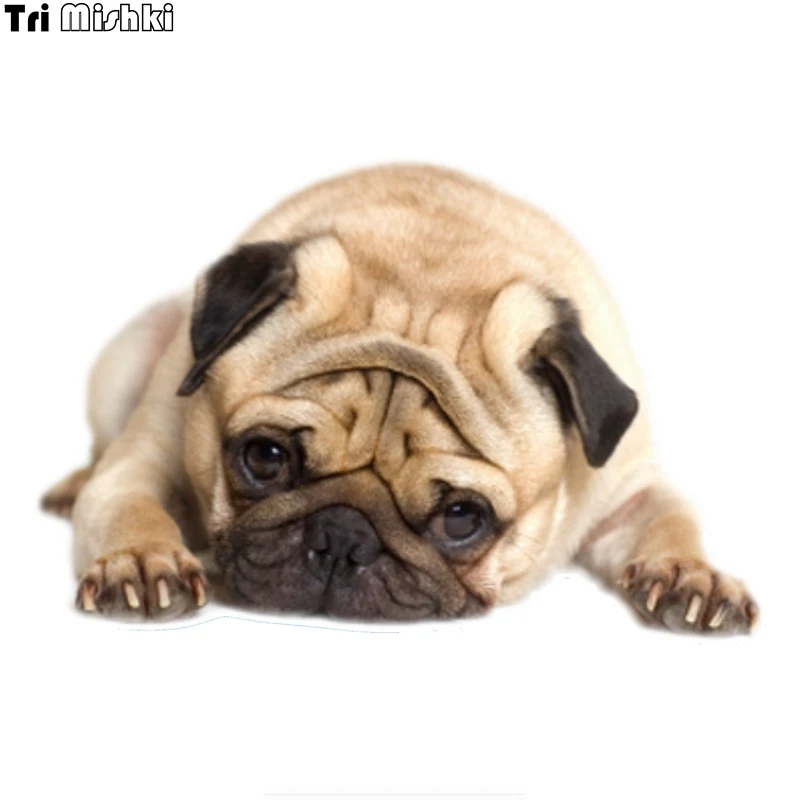 Tri Mishki WCS860 16x10 6 см Мопс стикер на машину с собакой ПВХ цветные наклейки Аксессуары