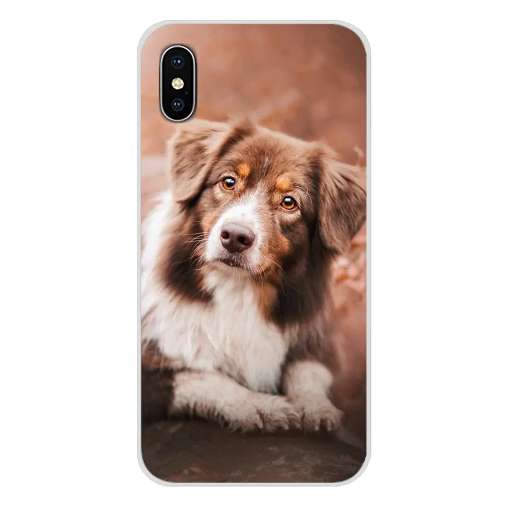Аксессуары для телефонов Samsung Galaxy S2 S3 S4 S5 Mini S6 S7 Edge S8 S9 S10E Lite Plus|Бамперы| |