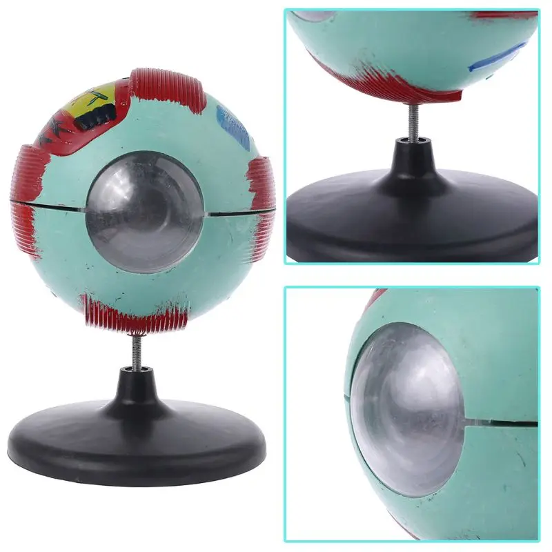 6x съемная модель глазного яблока для человеческого глаза внутренняя структура