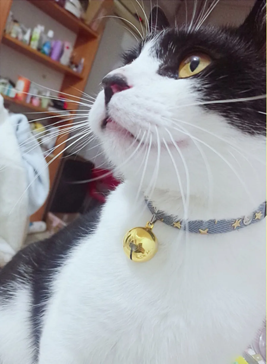 

Pet cat collar gold bell fashion decoration aluminum dog cat collar pet collar jewelry clothing access ories pet supplies