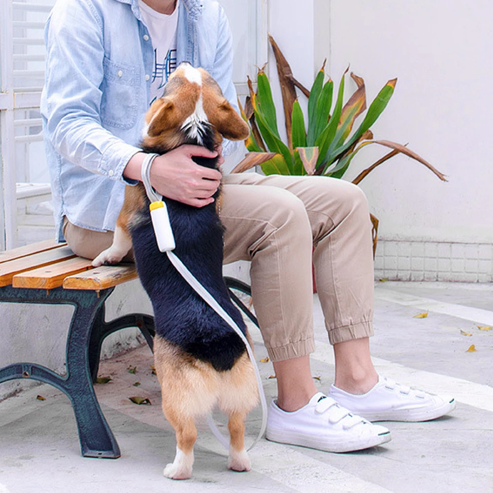 

Лучший поводок для собак взрывозащищенный светоотражающий быстроразъемный поводок для собак и кошек Чихуахуа Хаски уличный поводок для со...