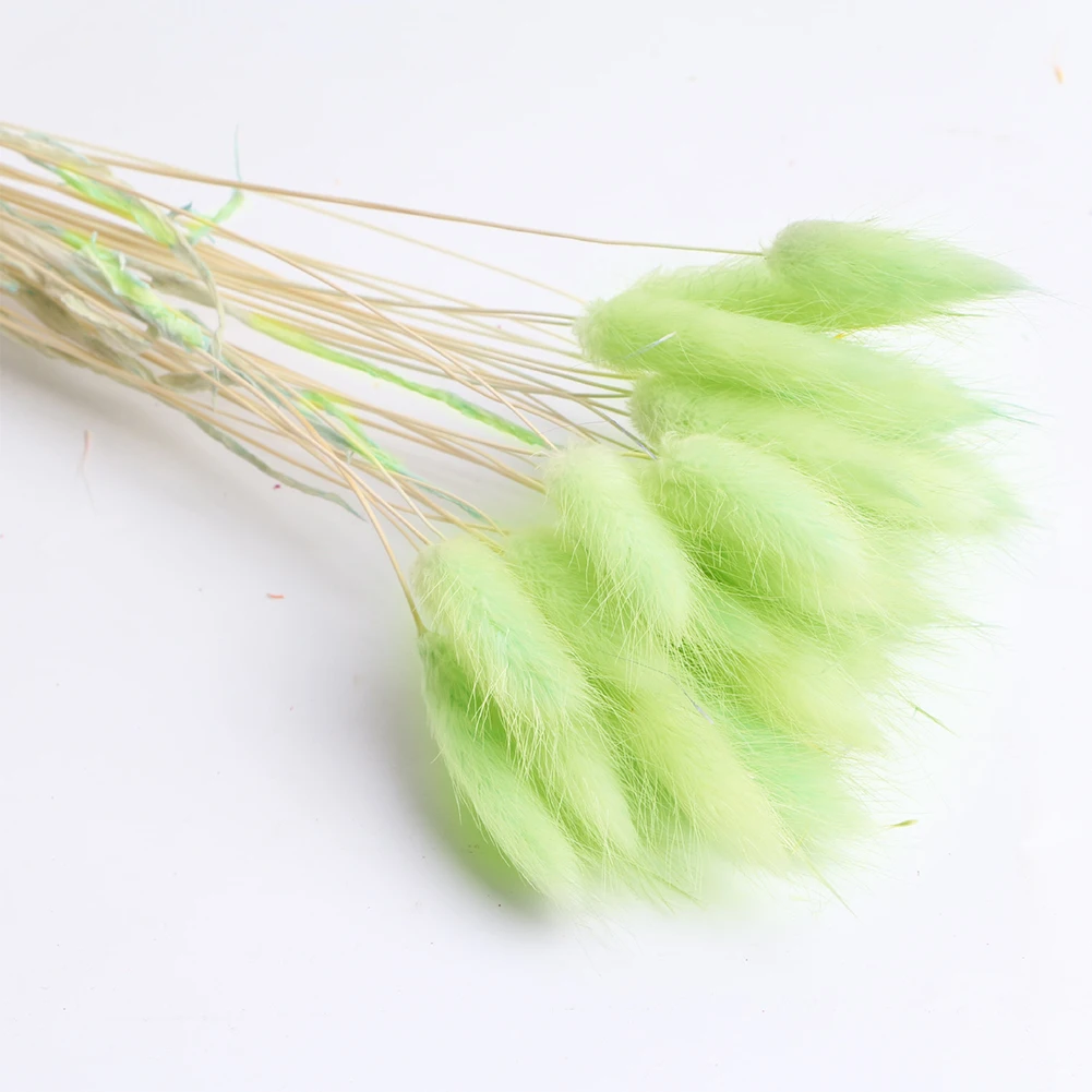 30pcs Rabbit Tail Grass Bouquet Eco Friendly Wedding Dried Flower Florist Photo Props Lagurus Ovatus Natural Gift Home Decor - Цвет: Зеленый