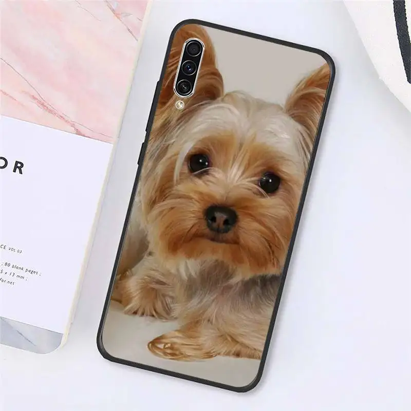 

Yorkshire terrier cute dog animal Phone Cases For Samsung galaxy S 9 10 20 A 10 21 30 31 40 50 51 71 s note 20 j 4 2018 plus