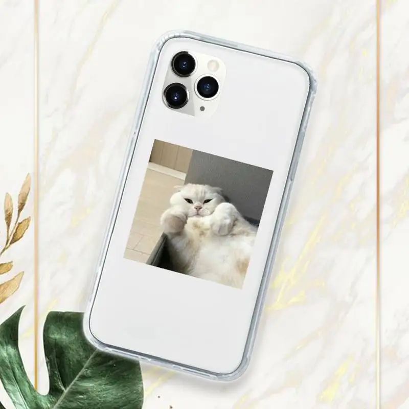 

cat animal card love Phone Case Transparent for iPhone 11 12 mini pro XS MAX 7 8 6 6S Plus X 5S SE 2020 XR