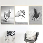 Абстрактная Картина на холсте бегущая черно-белая лошадь минималистичное настенное искусство скандинавские плакаты и принты современные картины для домашнего декора