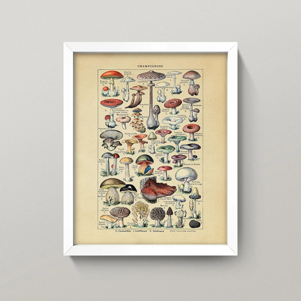 

Настенный ретро-постер с изображением грибов, Картина на холсте с изображением французских грибов, Современное украшение для кухни и дома, ...