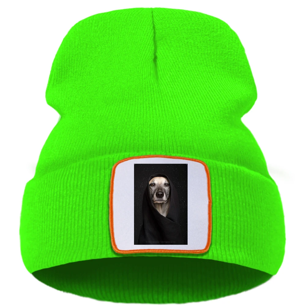 Крутая модная однотонная шапка унисекс с принтом собаки Теплые зимние шапки