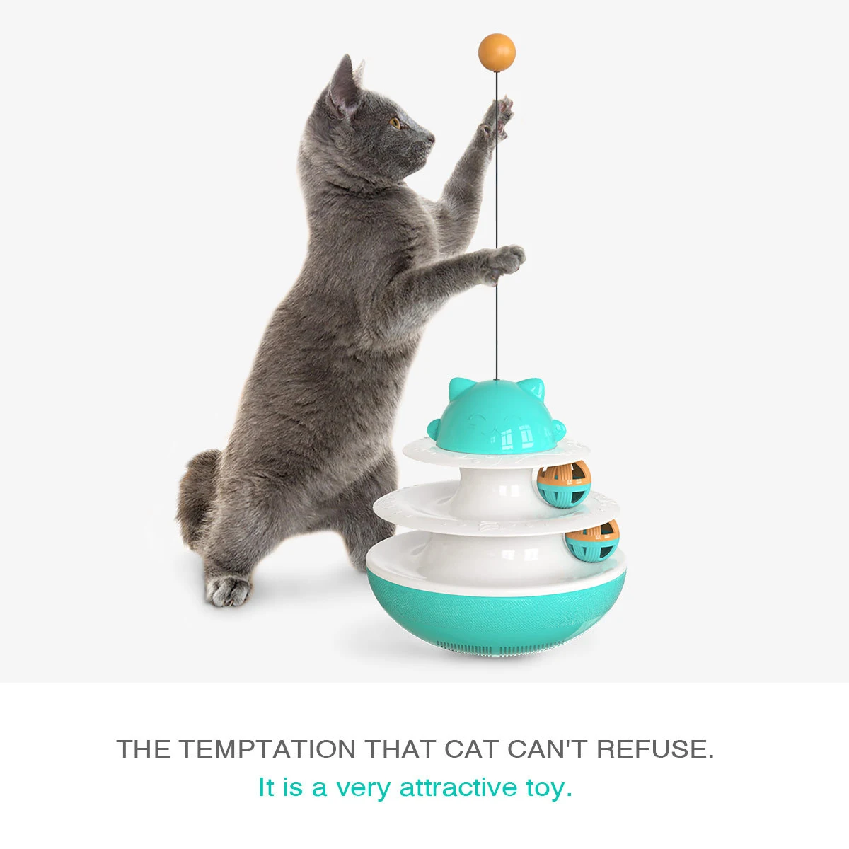 

Pet Products