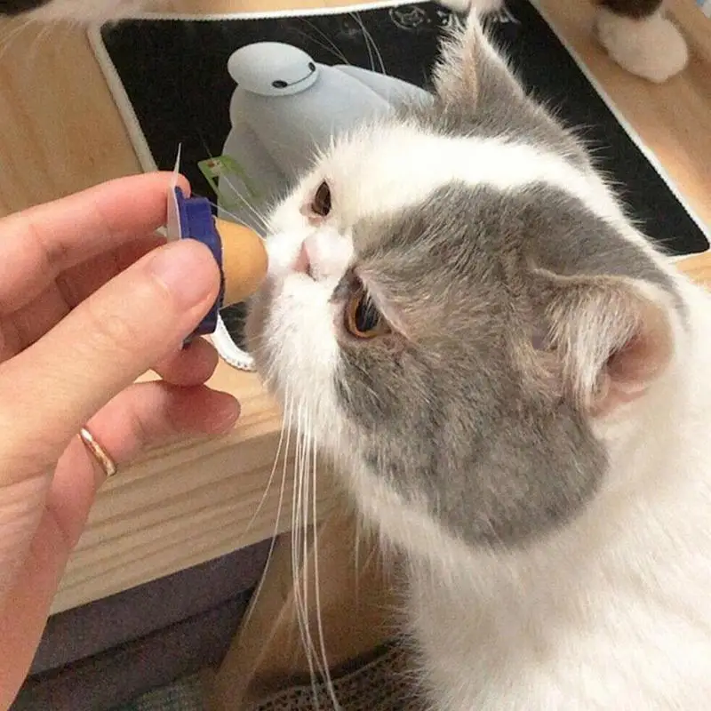 Здоровые снэки для котят еда кошек витамин кошка пудинг кошачья мята леденец