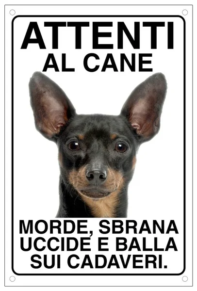 

Vintage Pinscher Bites Jewels Kills and Dance on Corpses Metal Tin Sign 8x12 Inch Retro Home Kitchen Outdoor Garden Wall Decor