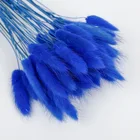 Декор для сушеных цветов и травы, 50 шт.