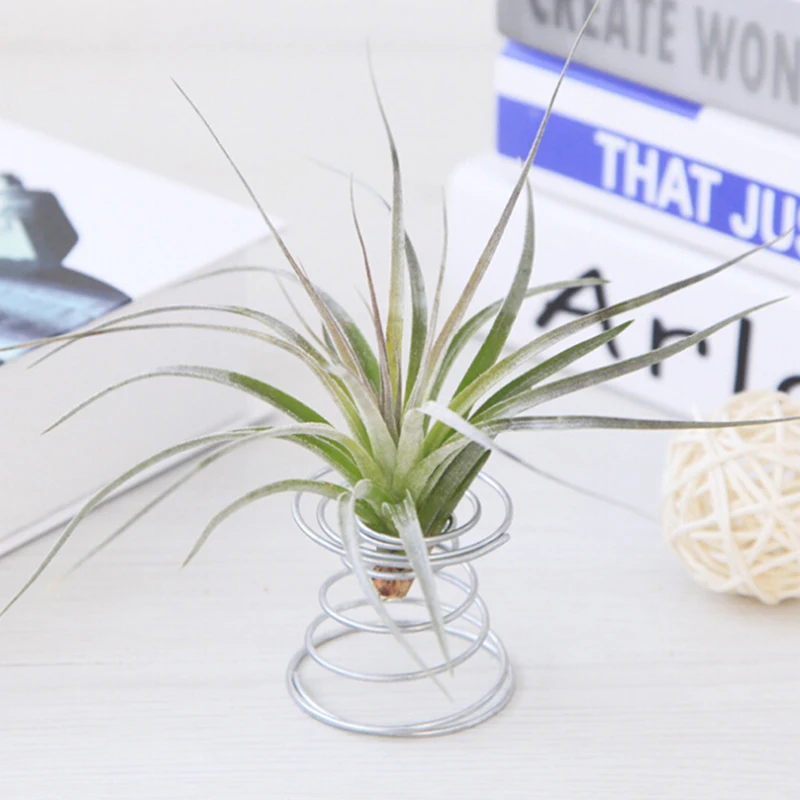 Стенд держатель для хранения воздуха ананас База дисплей стойка цветок