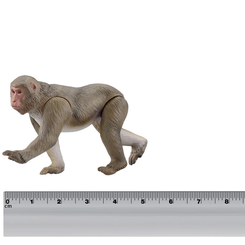 Takara Tomy ANIA Animal Advanture Monkey 2 шт. дикая ABS фигурка детские развивающие игрушки|Игровые