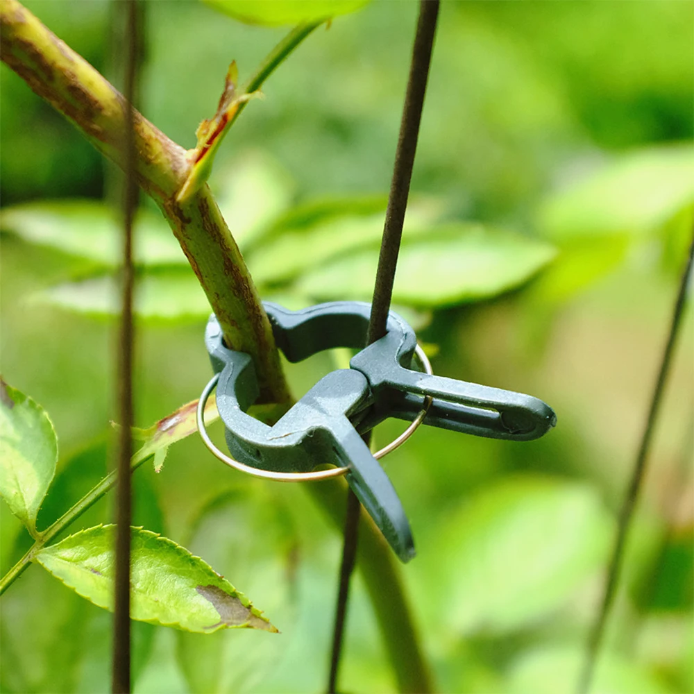 

20Pc/lots Garden Plant Fixed Clip Vines Grape Support Fastener Vegetables Flowers Tied Buckle Clamp Greenhouse Bracket