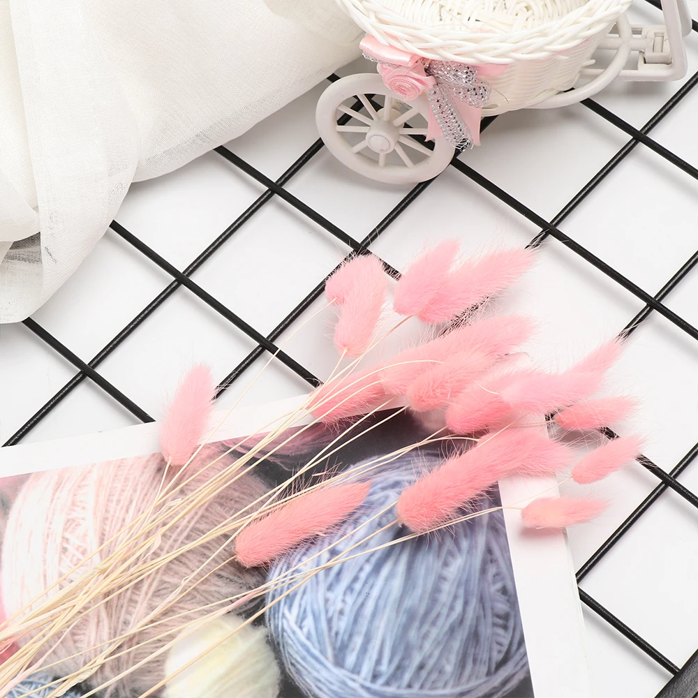 20 шт. трава для высушенных цветов хвост кролика|Искусственные и сухие цветы| |