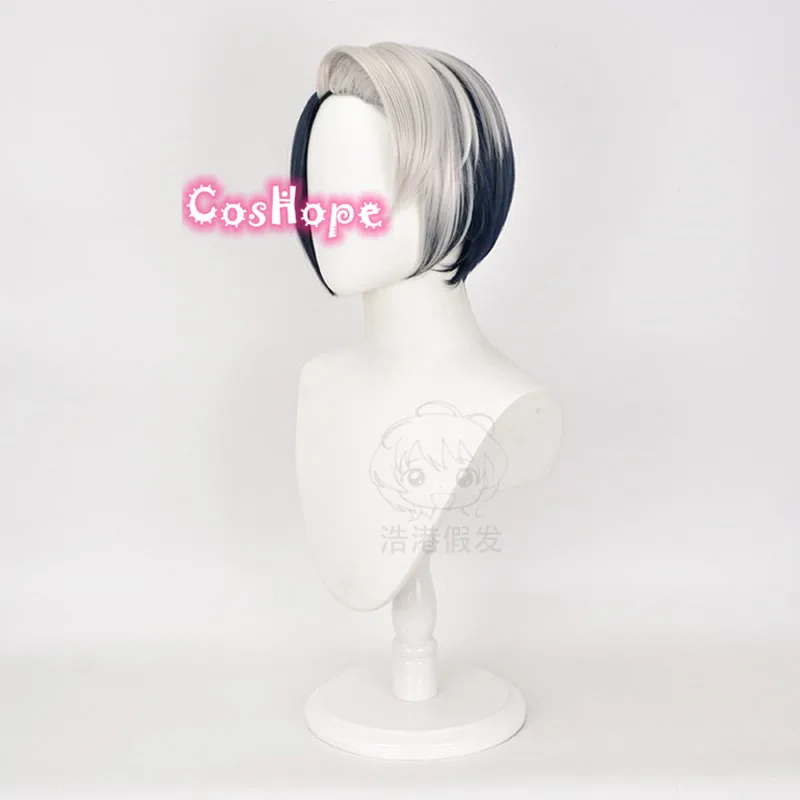Divus Crewel косплей парик витая Страна Чудес серый синий аниме парики термостойкие