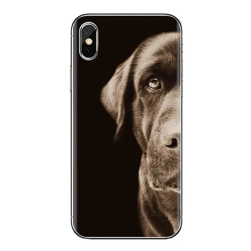 TPU Shell Case The Labrador Retriever dogs For Samsung Galaxy S2 S3 S4 S5 MINI S6 S7 edge S8 S9 Plus Note 2 3 4 5 8 Coque Fundas |