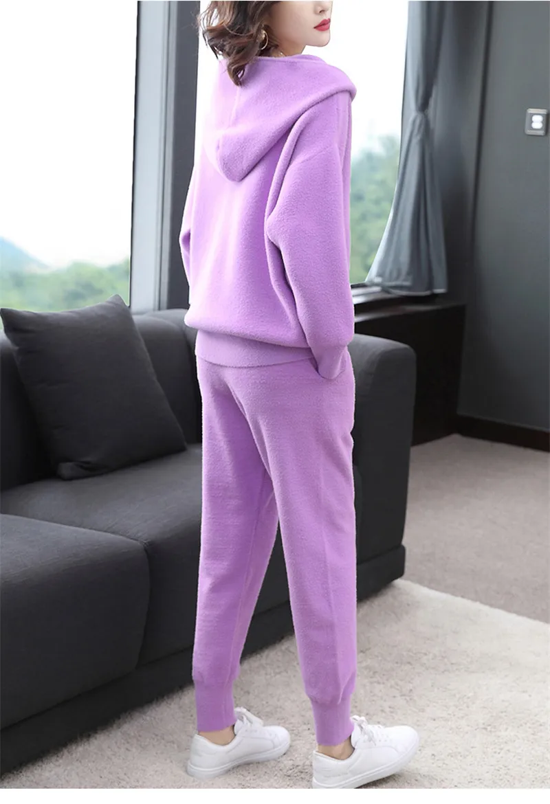 Имитация норки кашемир комплект из двух предметов спортивный костюм для женщин Топ пальто и брюки комплект весна женские повседневные спортивные костюмы костюм