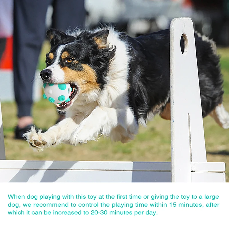 

Spherical dog toy molar ball resistant to biting bones dog toothbrush and durable