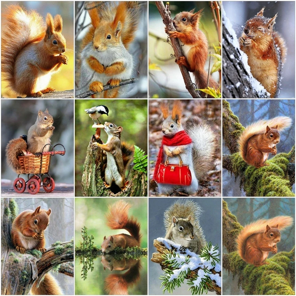

Canvas Size Full Circle Diamond 5d Diy Diamond Embroidery Squirrel Diamond Painting Cross Stitch Rhinestone Mosaic Decoration