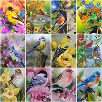 chenistory paint by number bird animal 4050 drawing on canvas handpainted painting diy pictures by number flower kits home deco