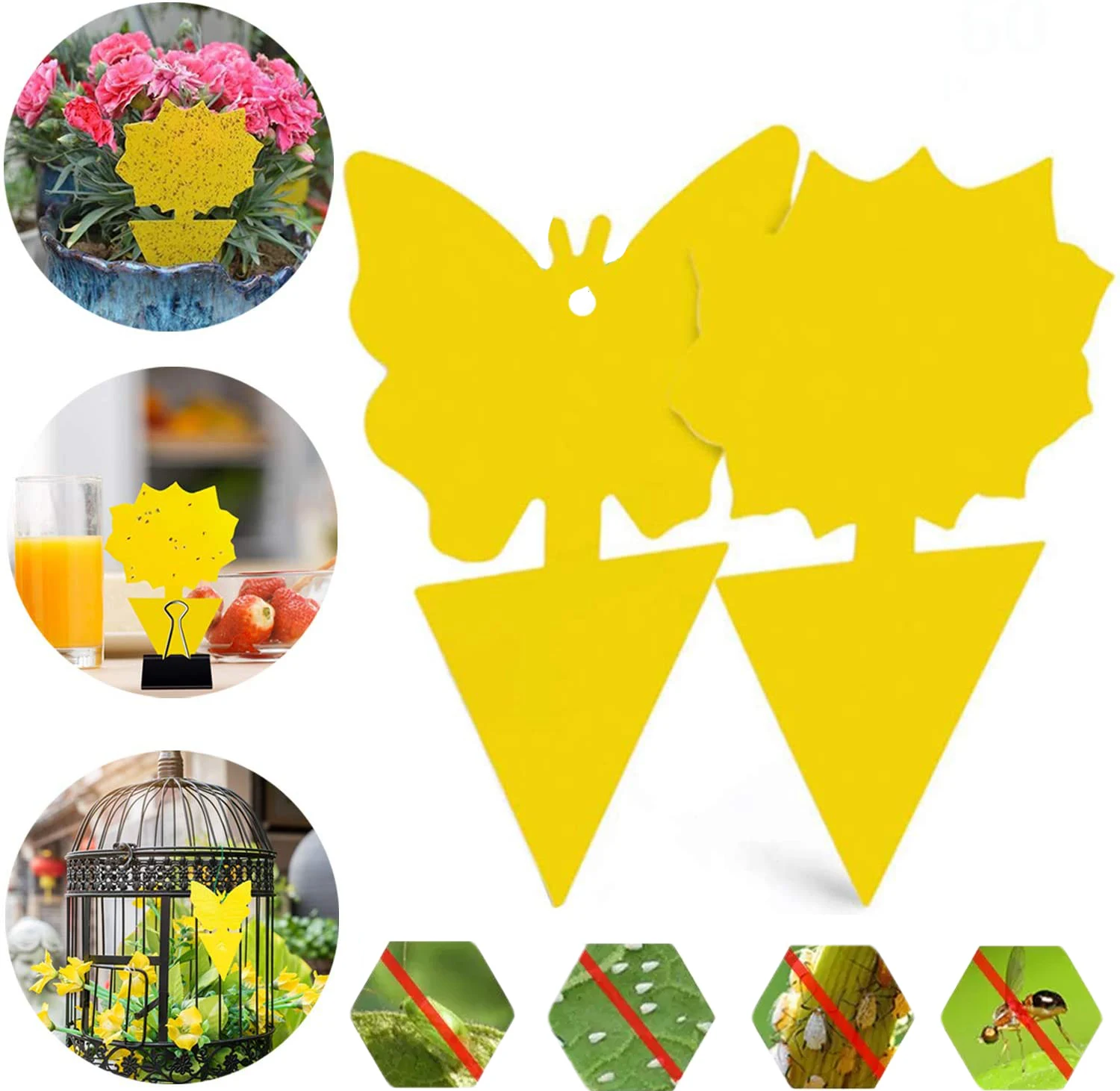 

Yellow Strong Flies Sticky Traps Bugs Flying Traps Catching Aphid Pest Killer Outdoor for Fruit Fly Fungus Insects Double Traps