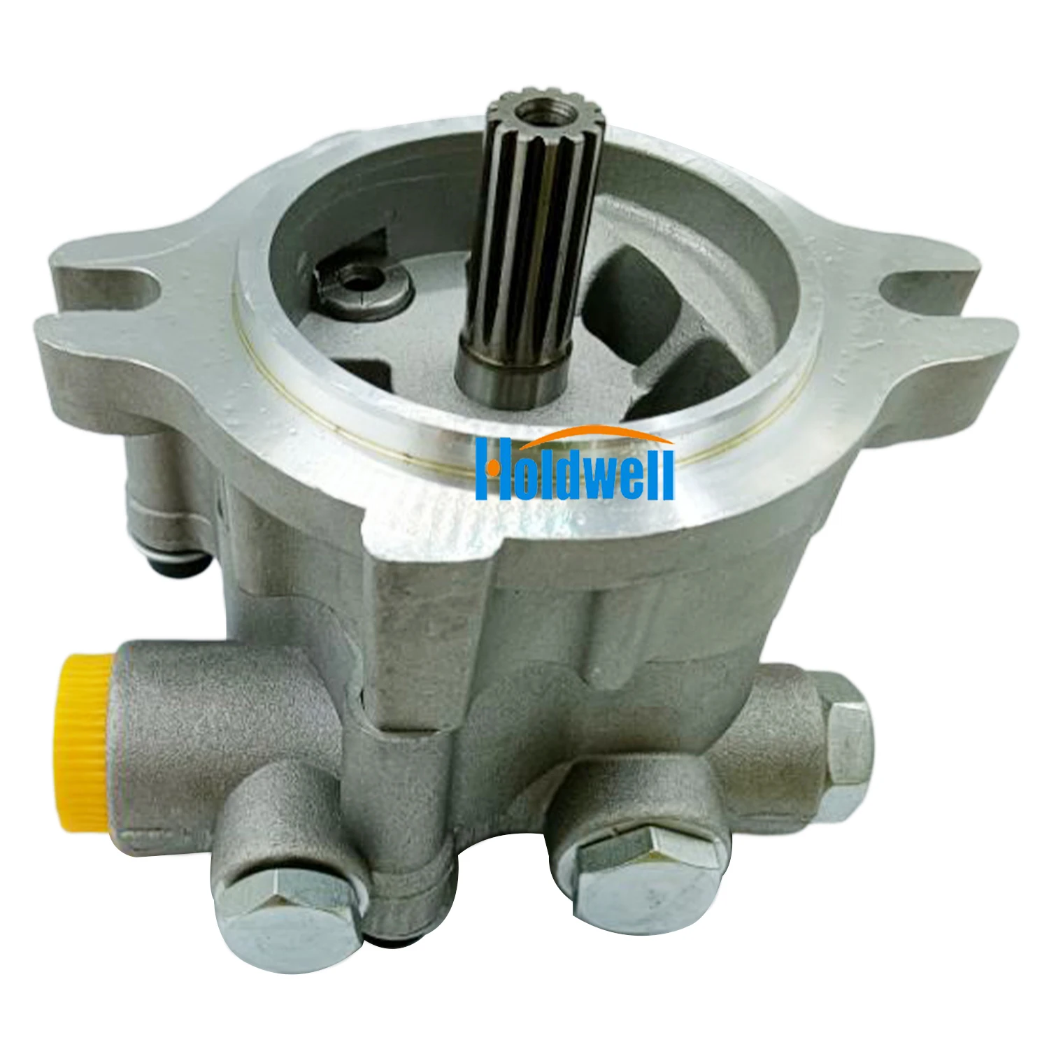 

Holdwell New Gear Pump 2902440-1671A Fits for SH200-3