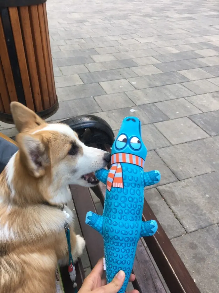 Различные забавные игрушки для кошек прочная игрушка собак кусающая маленьких и