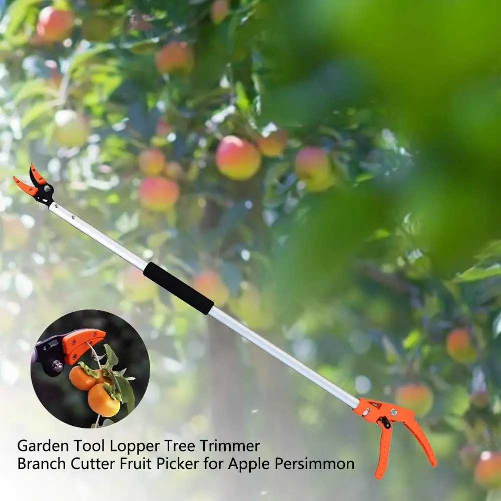High Branch Pruning Tool Long Reach Aluminium Flower Fruit P