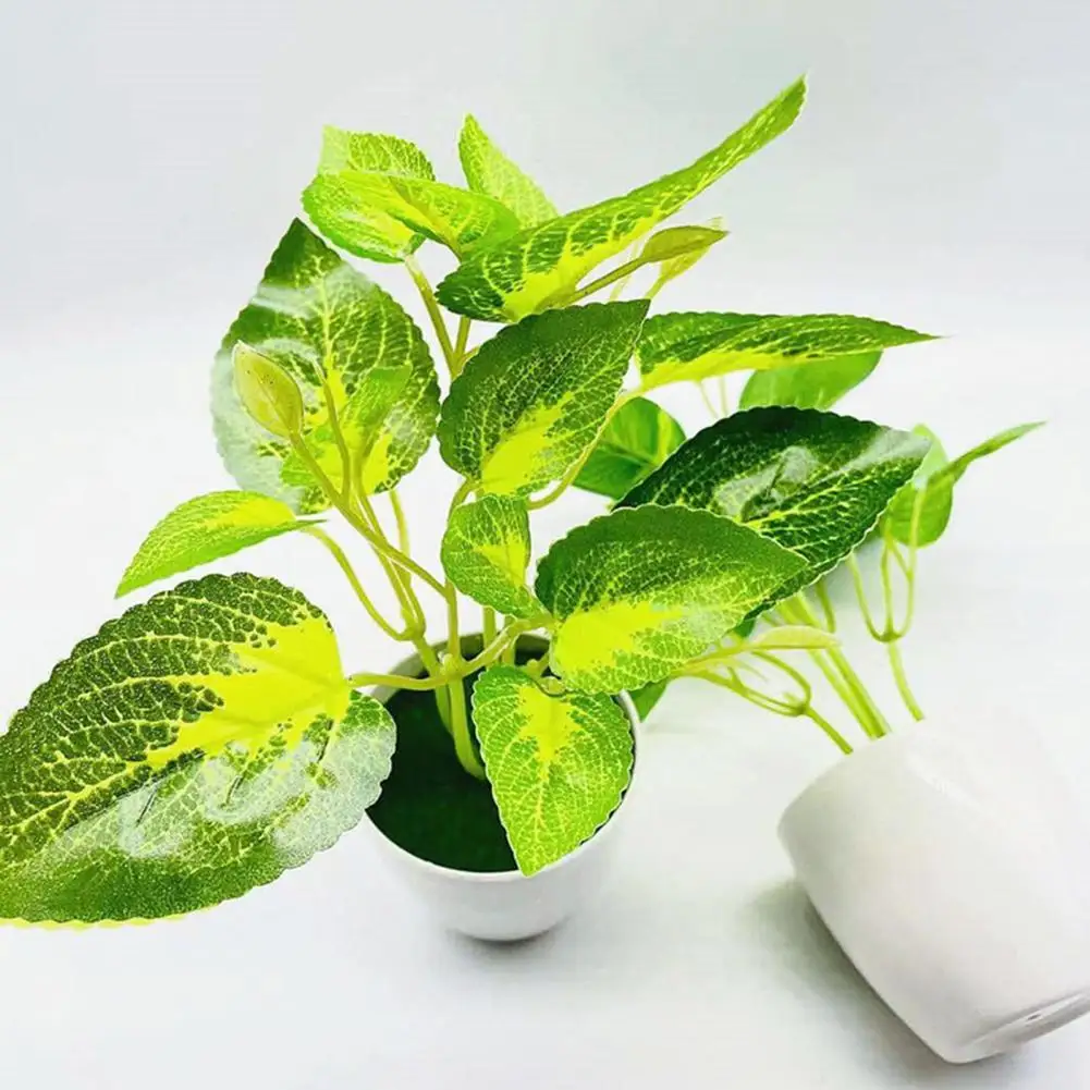 

Искусственное легкое растение, 5 стилей, простое в уходе бытовое растение, имитация бонсай, Горшечное растение для кафе