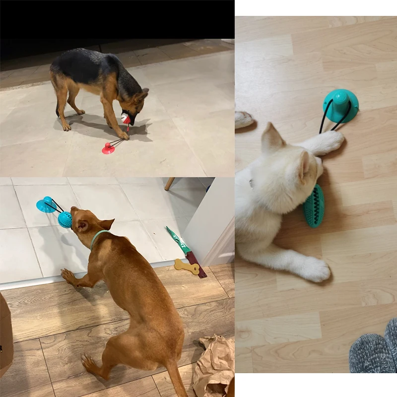 

Dog Toys Silicon Suction Cup for Pet Dogs Tug Interactive Ball Toys For Pet Chew Bite Tooth Cleaning Toothbrush Dogs Food Toys