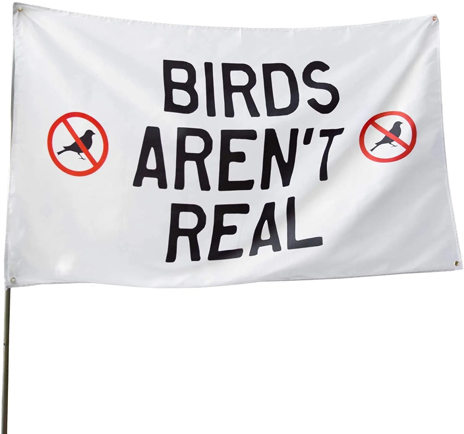 

Birds Aren't Real Flag, 3x5 Feet College Dorm Activist Banner