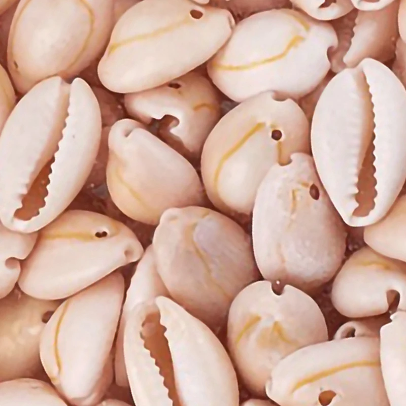 

Natural Shell Beads Boxed Shell Jewelry Accessories Diy Handmade Earring Materials