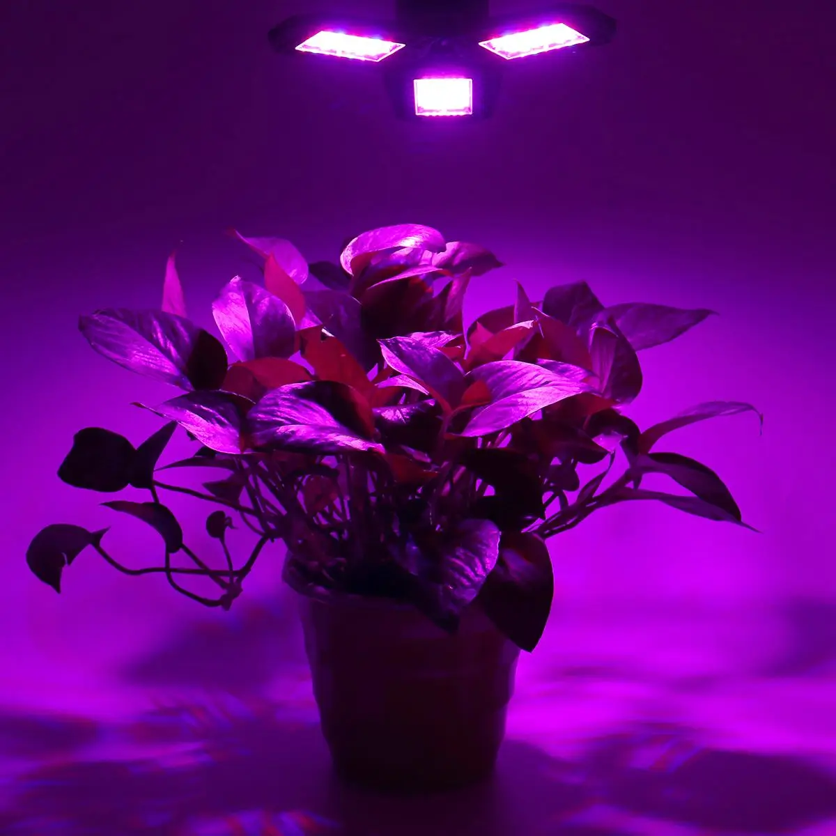 

LED Phyto Lamp E27 100W Full Spectrum LED Grow Light Horticole Indoor Seedlings Flower Grow Tent Box Greenhouse Hydroponic