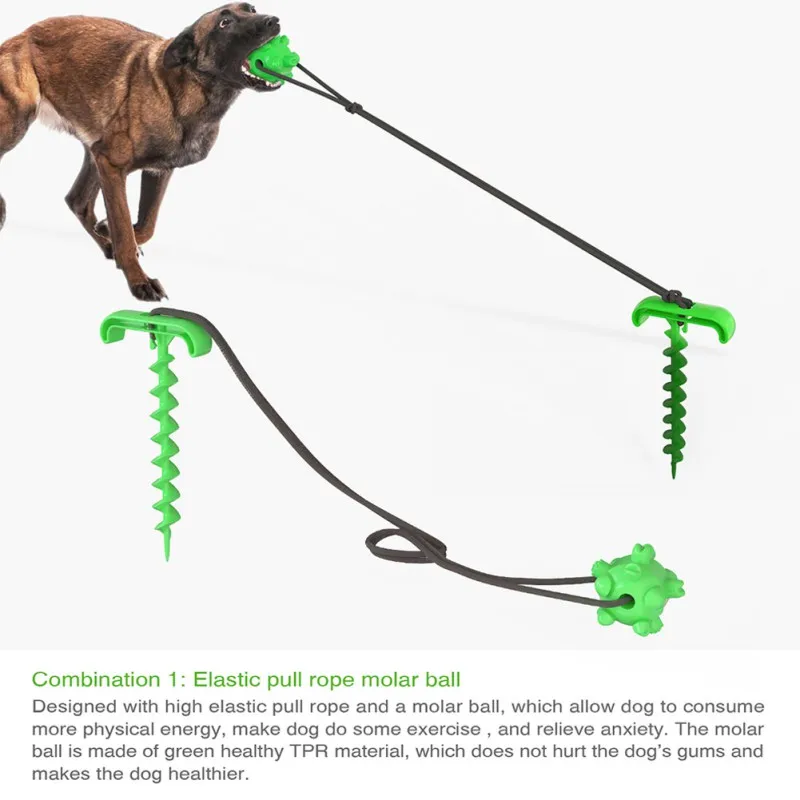 

1PC Pet Dog Cat Collar Outdoor Travel Tie Dog Ground Pile Nail Tie Dog Leash Dog Walking Toy Tool With 3 Colour Pet Dogs Product