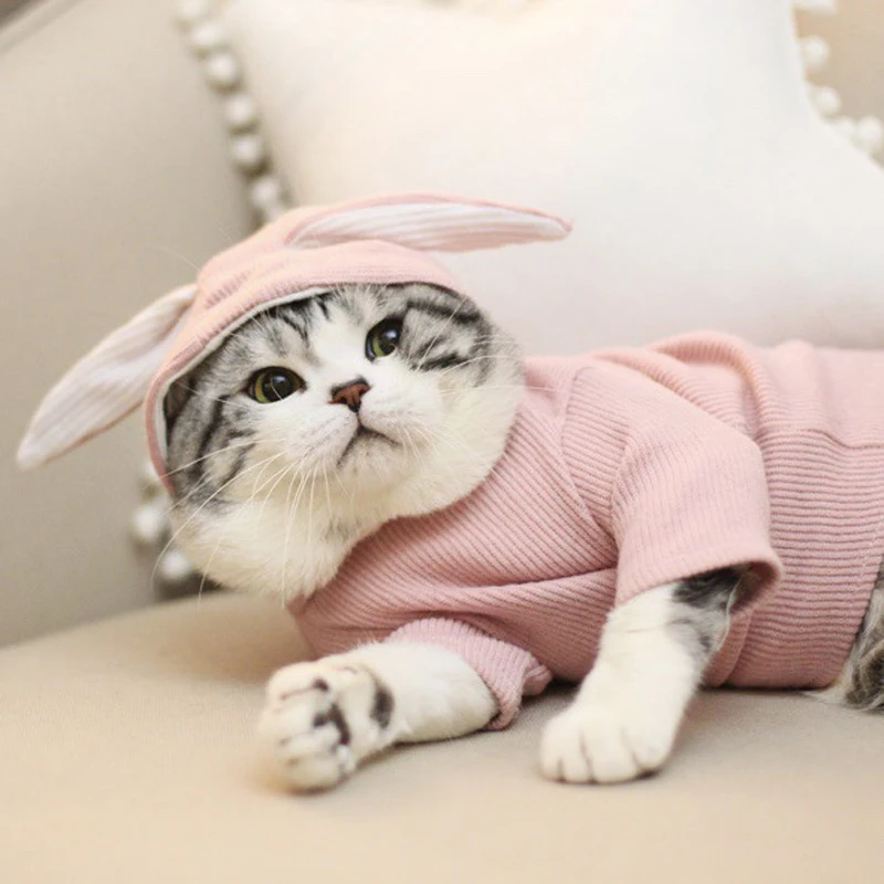 

Sweet Pet Cat Costumes Winter Warm Cat Clothes For Small Cats Dogs Cute Rabbit Ear Shaped Kitten Kitty Coat Jacket Pet Clothing