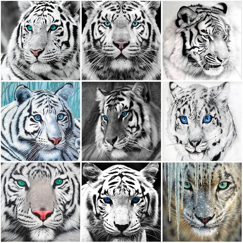 

DIY 5D Diamond Painting White Tiger Diamond Embroidery Animal Cross Stitch Mosaic Full Round Drill Manual Art Gift Home Decor