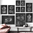 Настенная живопись в скандинавском стиле с изображением мышц ног, костей, сердца, анатомический скелет, настенные картины для доктора, украшение для офиса