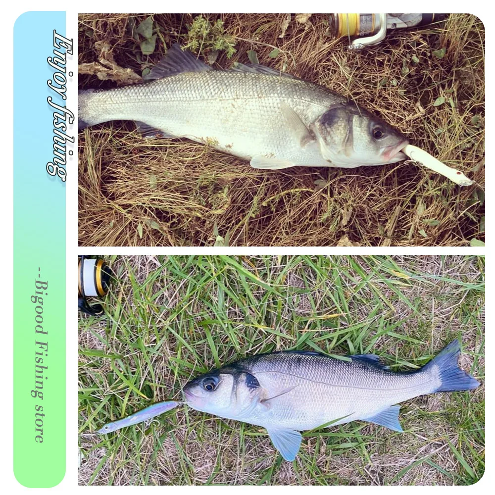 D1 Snake Popper KCR Fishing Lure 100mm 140mm 9.5&26g Floating Surface Bait Topwater Pencil Head Pesca For Sea Bass Pike Wobbler