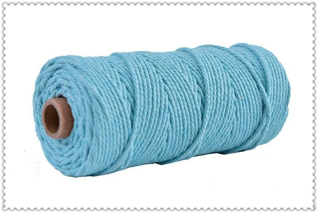 Light blue 22 цвета, 100 м, 109 ярдов, цветная, цветная, ручная работа, длинный, макраме, хлопок, скрученный шнур, 3 мм, ручная работа, плетеная проволока - Цвет: Light blue