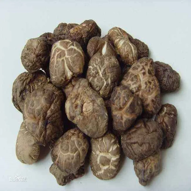 

50g-1000g 100% Pure Shiitake Mushroom Extract Powder,10% Fungal Polysaccharides,Lentinus Edodes,Xiang Gu,Free Shipping