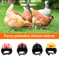Креативный шлем для курицы #2