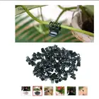 Пластиковые зажимы для поддержки растений, 100 шт., зажим для стебля орхидеи, для поддержки лозы, овощей, цветов, зажим для ветвей, садовый инструмент