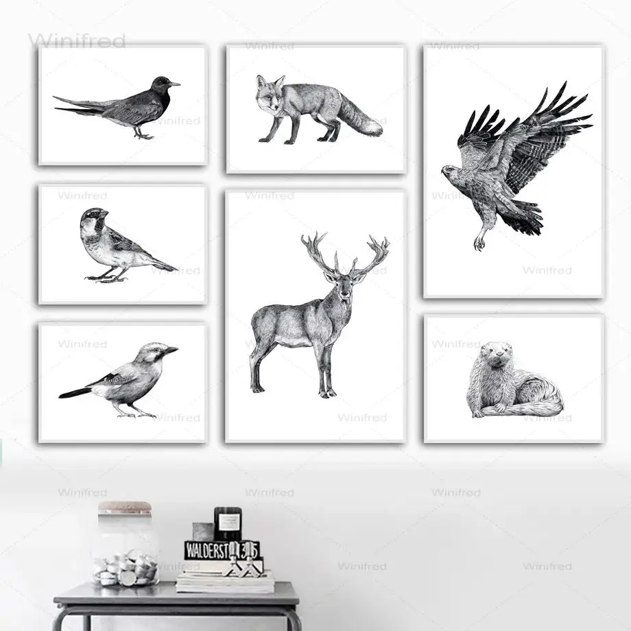 Картина с изображением птиц черно-белых животных холст картина колибри