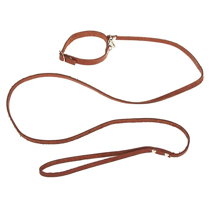 Комплект кожаный ошейник 33 х 1 2 см и поводок 135 0 8 микс цветов 1173199 | Дом сад