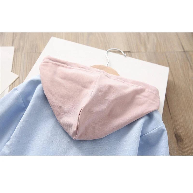 

Y.L.STUDIO Toddler Girls Dress Spring Autumn 2 in 1 Child Dress Cotton Lace Pleated-Skirt Hoodies Kids Girls Fashion Dress