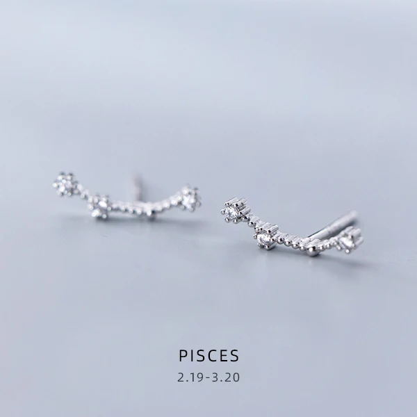 PISCES Modian Изысканные 12 созвездий милые женские хрустальные Leo Aquarius серьги гвоздики для женщин стерлингового серебра 925 ювелирные изделия - Окраска металла: PISCES