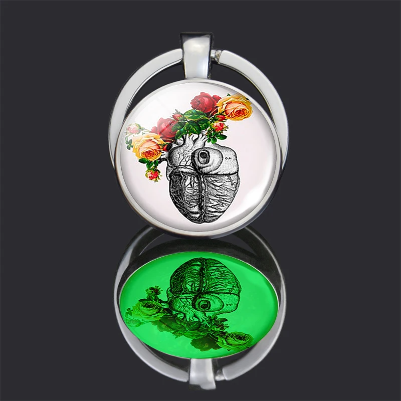 Анатомический светящийся брелок для ключей в форме сердца стеклянный купол с