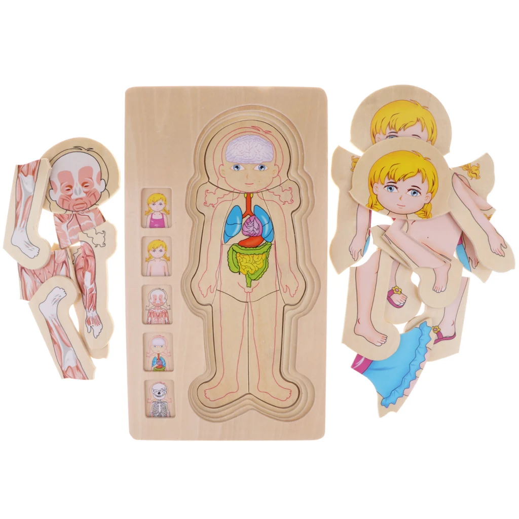 

Wooden Puzzles for Boys and Girls - 5 Layers Girl Body Structure Puzzle